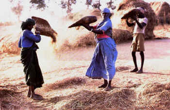 Donne1.jpg (15874 byte)