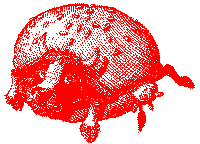 mac4.gif (3514 byte)