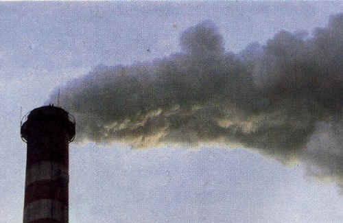 procte5.jpg (14453 byte)