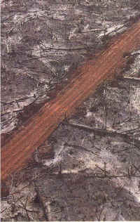 unilev3.jpg (11434 byte)