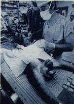 unilev4.jpg (6393 byte)